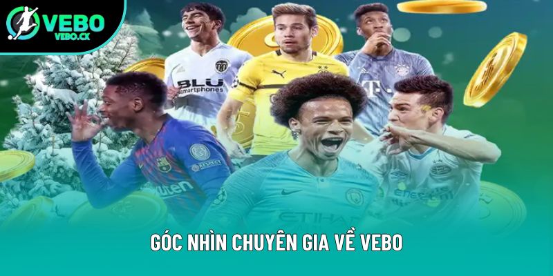 Góc nhìn chuyên gia về VEBO